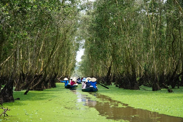 Tra Su Cajuput Forest 4