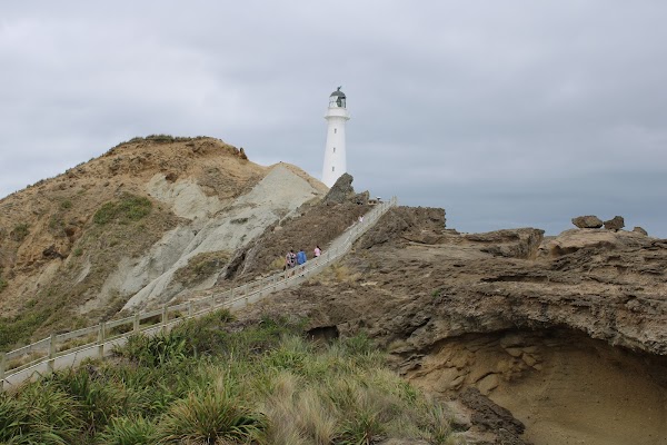 Castlepoint Lighthouse 5
