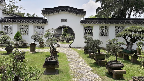 Chinese Garden 3