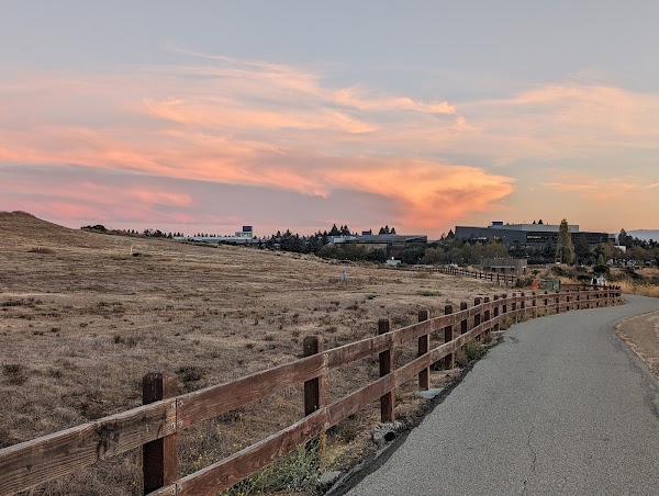 Vista Slope At Shoreline Park
