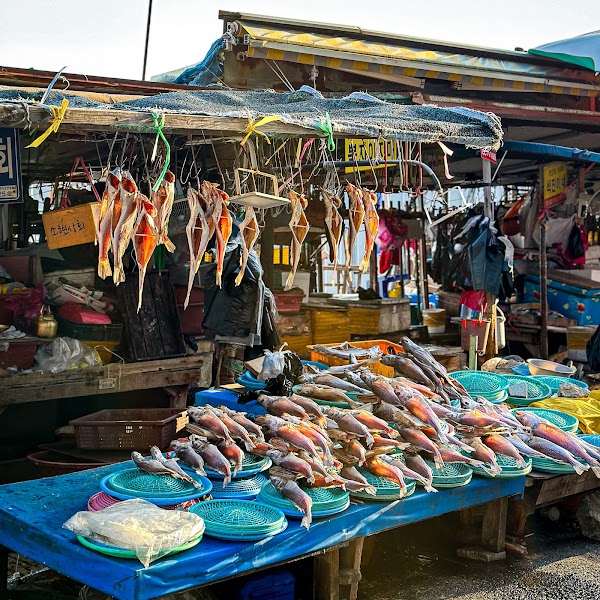 Jagalchi Market 3