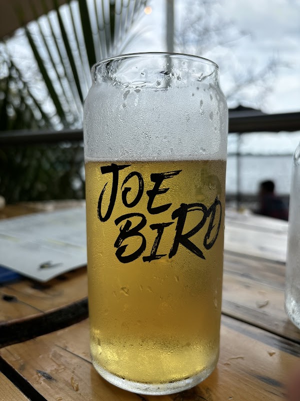 Joe Bird 2