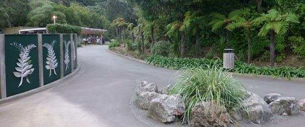 Percy Scenic Reserve 1