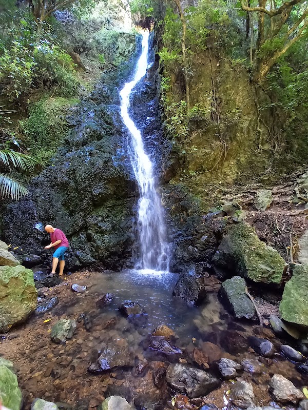 Percy Scenic Reserve 5