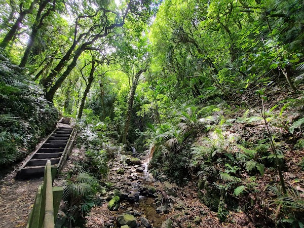 Percy Scenic Reserve 2