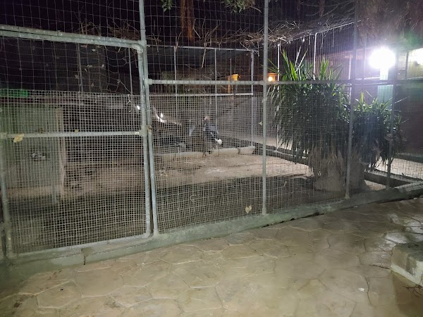 Ta' Susina Farmhouse 2