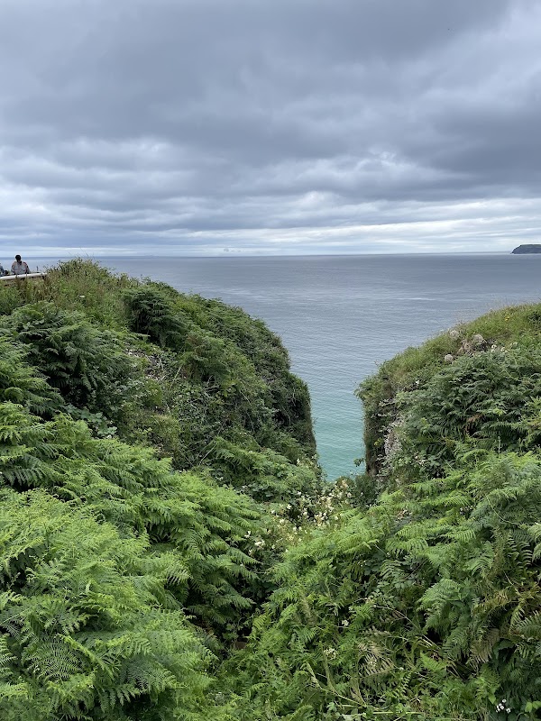National Trust - Carrick-a-Rede 4