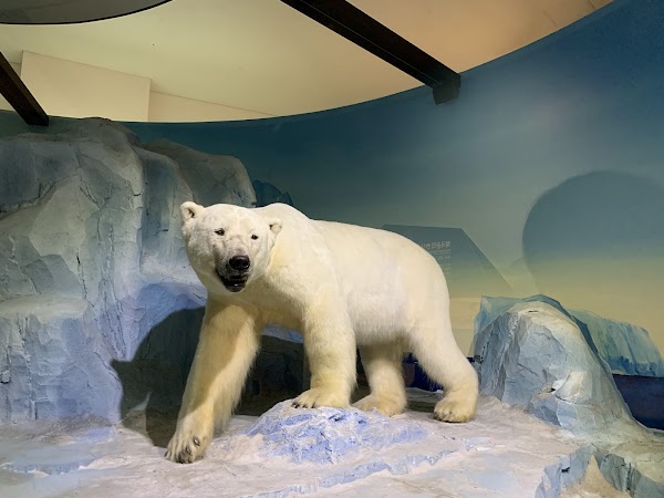 National Institute of Ecology 2