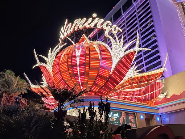 The Las Vegas Strip 5