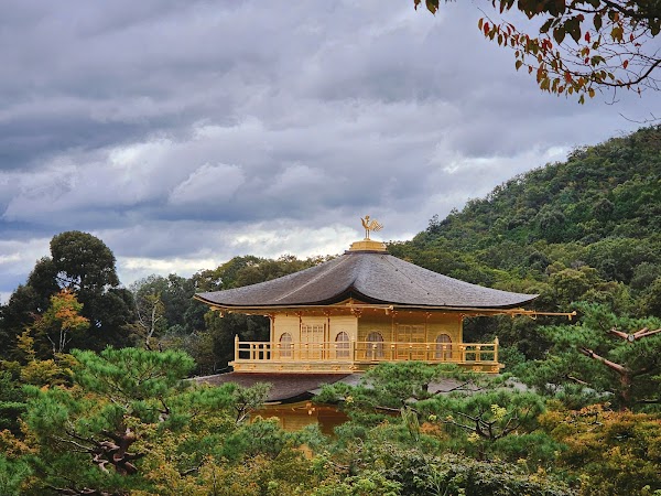 Kinkaku-ji 5
