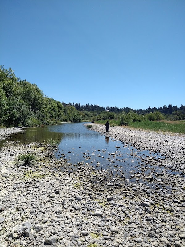 Hendy Woods State Park 3