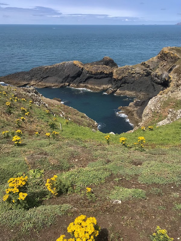 Skomer Island 3