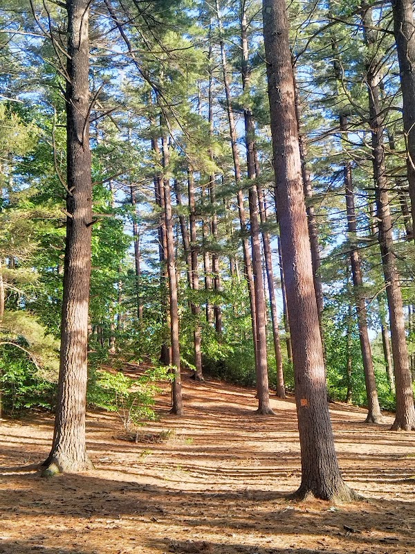 Kingston State Park 3