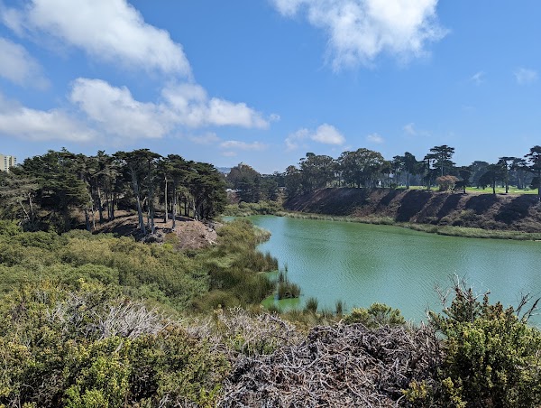 Lake Merced Park 2