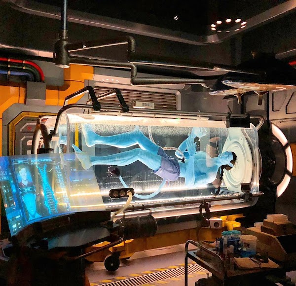 Avatar Flight of Passage