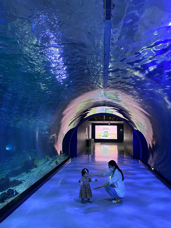 Aqua Planet Jeju 5