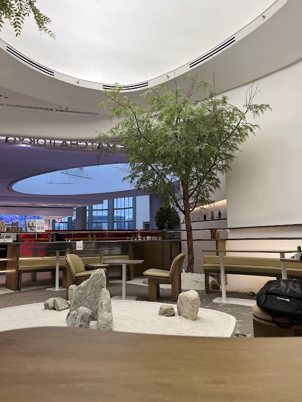 The Matcha Tokyo - MOA