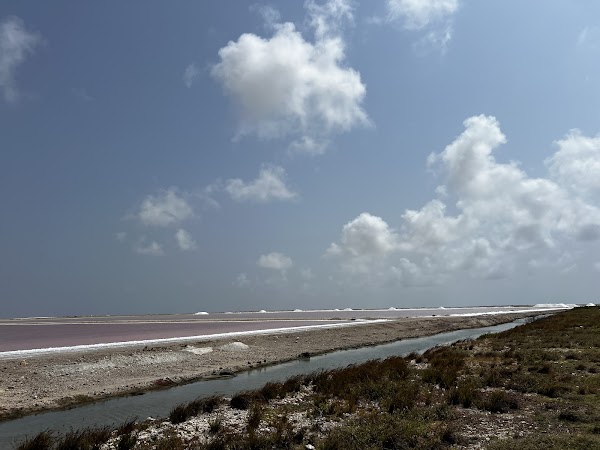 Solar Salt Works of Bonaire 4