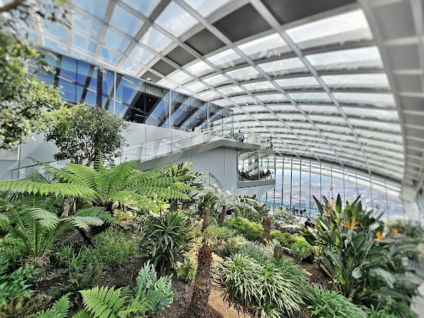 The Fenchurch Building (The Walkie-Talkie) 3