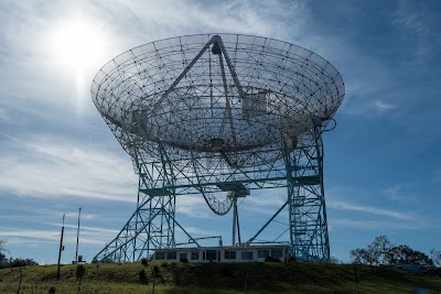 Stanford Dish 1
