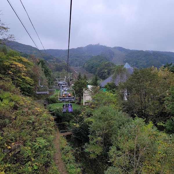 Phoenix Pyeongchang Luge Land 4