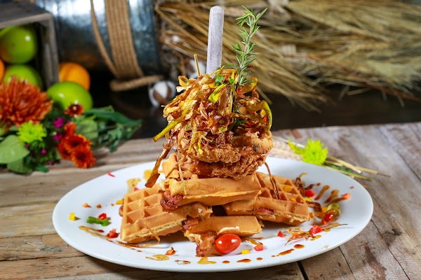 Hash House A Go Go at The LINQ 6