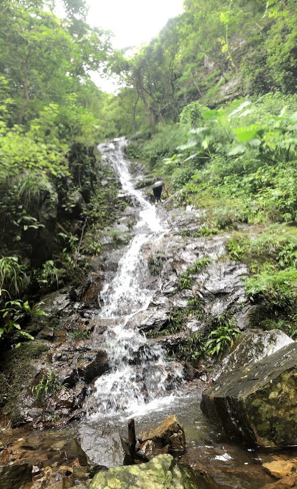 Dai Shek Stream