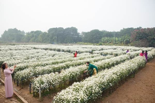 Bãi Đá Sông Hồng 5