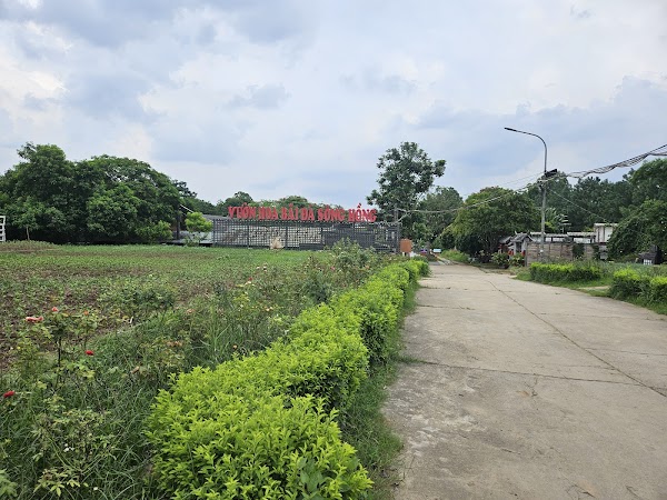 Bãi Đá Sông Hồng 4