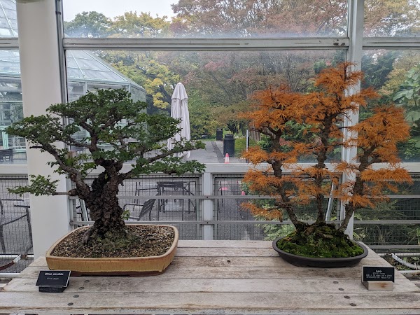 Brooklyn Botanic Garden 4