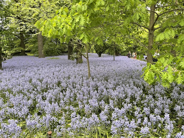 Brooklyn Botanic Garden 3