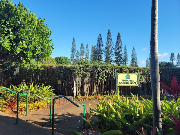 Dole Plantation 3