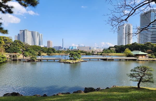 Hamarikyu Gardens 5