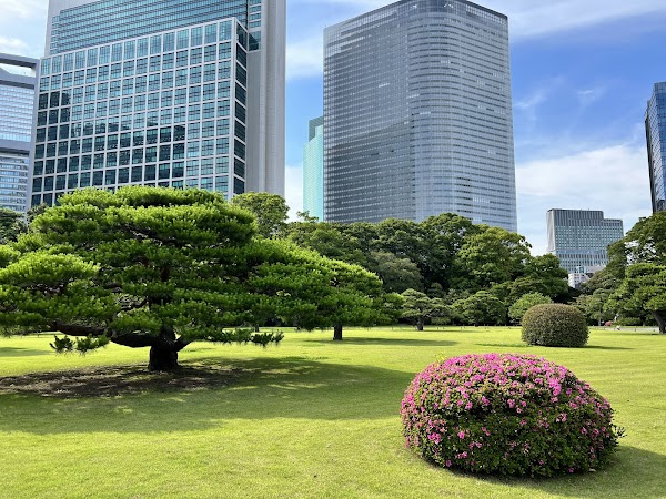 Hamarikyu Gardens 3