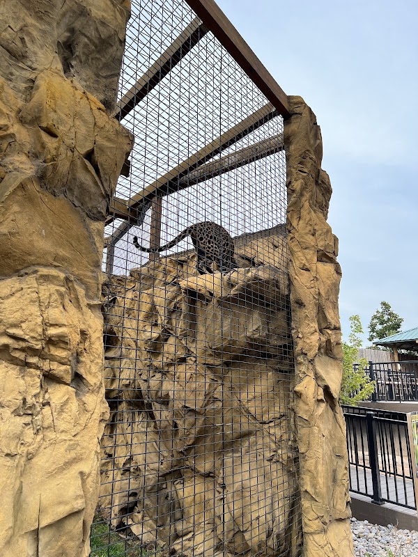 The Wild Animal Park 4