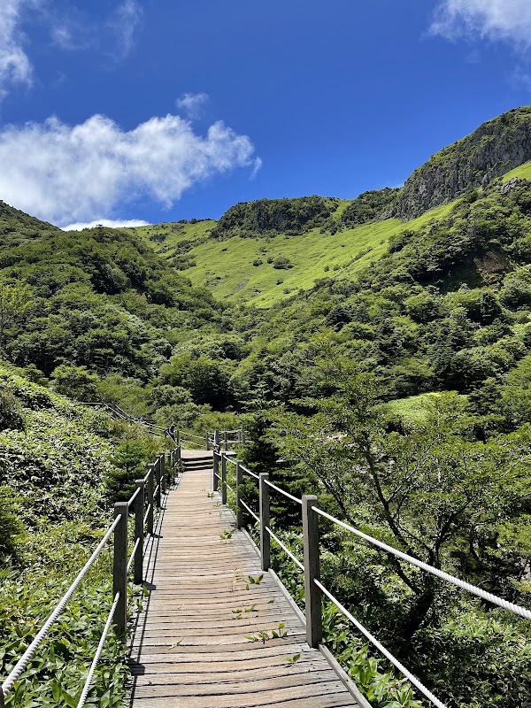 Gwaneumsa Trail | Hallasan National Park 5