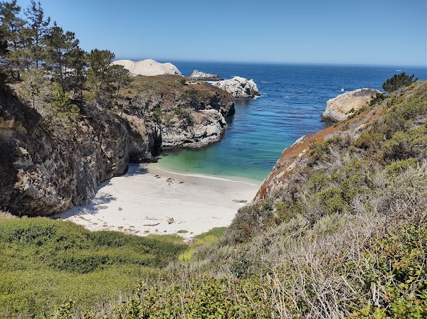 Point Lobos State Natural Reserve