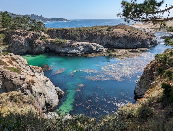 Point Lobos State Natural Reserve 5