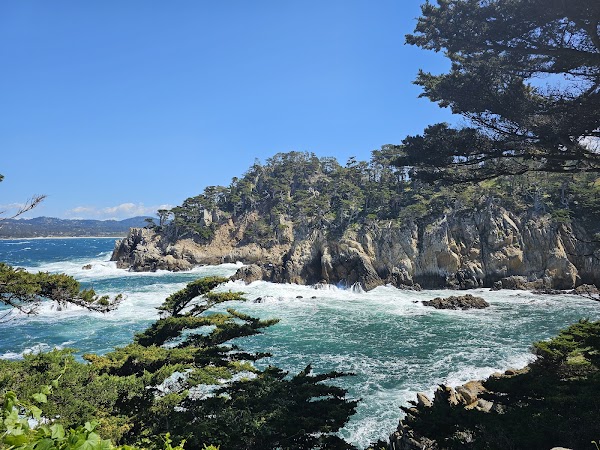 Point Lobos State Natural Reserve 3
