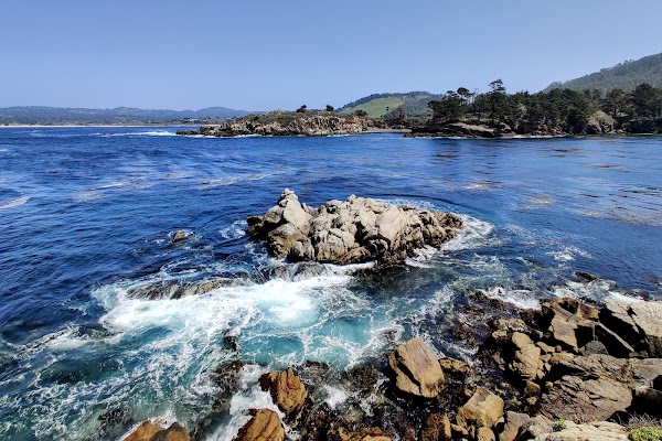 Point Lobos State Natural Reserve 2