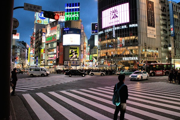 Hachikō Memorial Statue 6