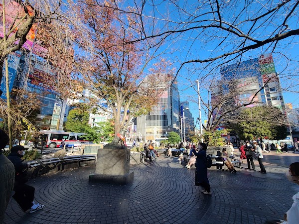 Hachikō Memorial Statue 4