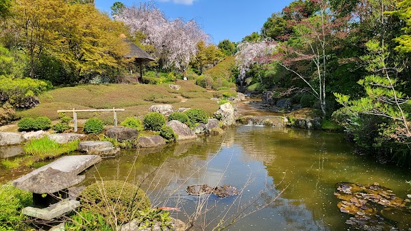 Myoshin-ji Taizo-in 5