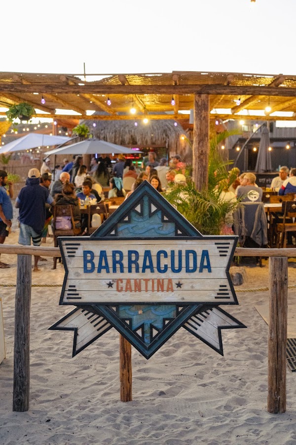 Barracuda Cantina 4