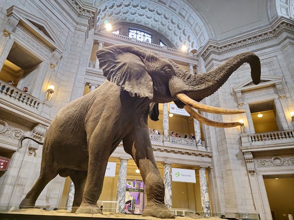 Smithsonian National Museum of Natural History