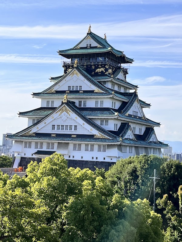 BLUE BIRDS ROOF TOP TERRACE 3