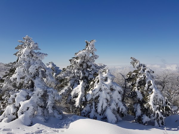 한라산국립공원 영실 관리사무소