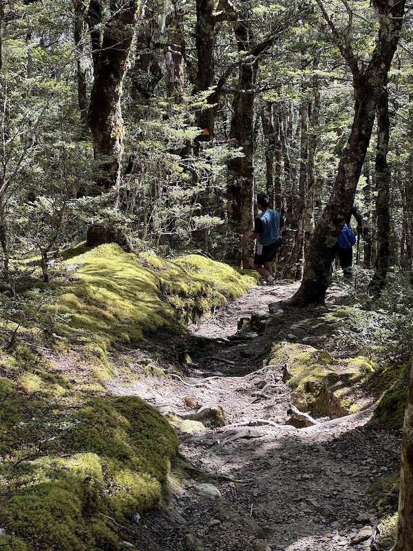 Saint Arnaud Range 3