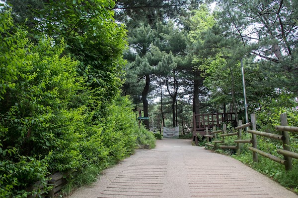 Namsan Outdoor Botanical Garden 6