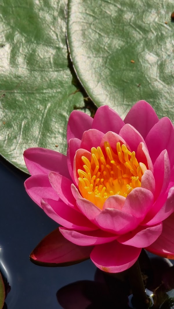 Namsan Outdoor Botanical Garden 3